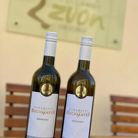 Rezidence Zvon 4* Znojmo